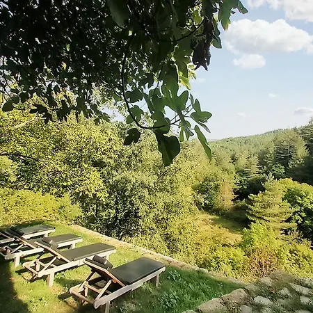 Lavilla Basse Saint-Julien-du-Serre